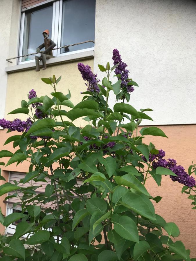 Appart Les Cerises Entre Strasbourg Et Haguenau Apartment Bischwiller Exterior photo